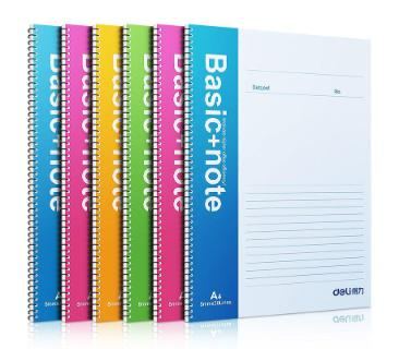 ბლოკნოტი A4 100 ფურცელი