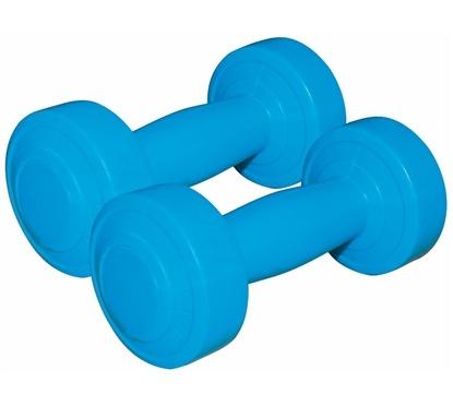 ჰანტელები SVELTUS 1160 2x0,5kg