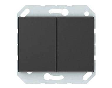 გადამრთველი გამავალი ჩარჩოს გარეშე an 2 კლავიშიანი