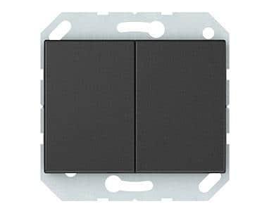 გადამრთველი გამავალი ჩარჩოს გარეშე an 2 კლავიშიანი