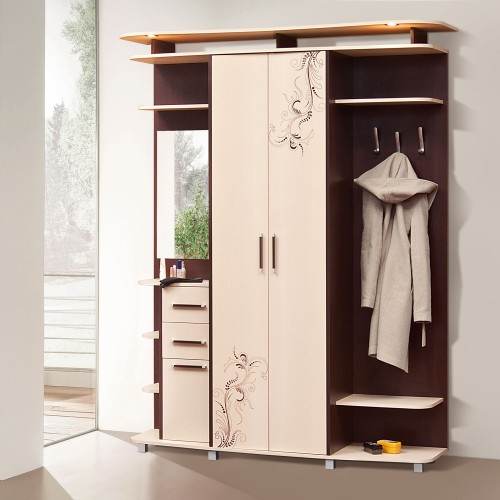 შემოსასვლელის კარადა სილუეტი 3