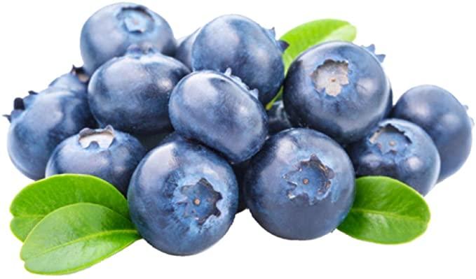 მოცვის ნერგი legacy