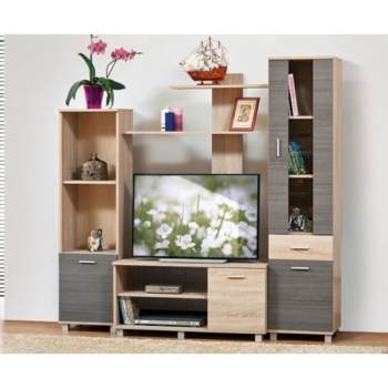 კედელი ჰოლმსი