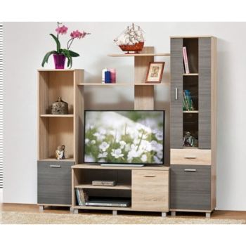 კედელი ჰოლმსი