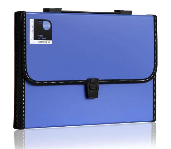 სასაბუთე ჩანთა 13 განყოფილებით