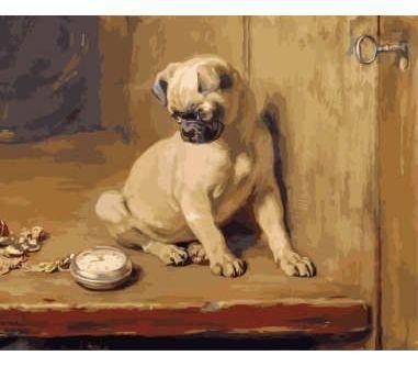 სახატავი ნაკრები აკრილის საღაბავი ტილო Сонет Мопс